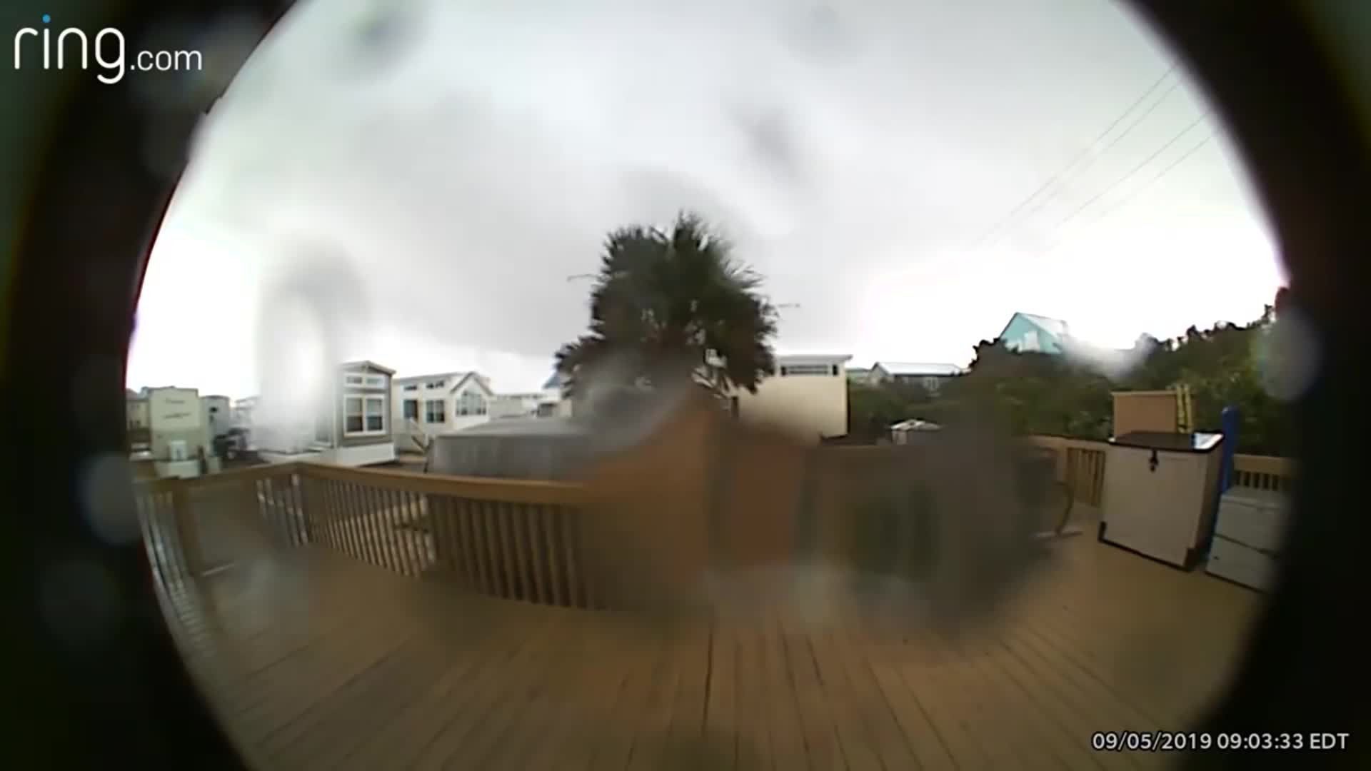 Hurricane Dorian